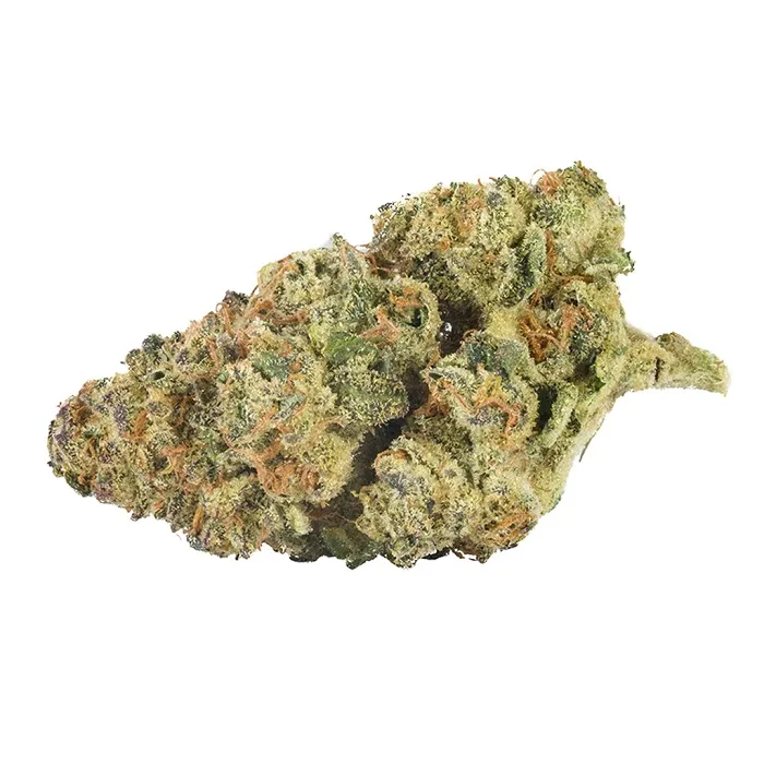 Product image of Mandarin Cookies - Back Forty - Dried Flower