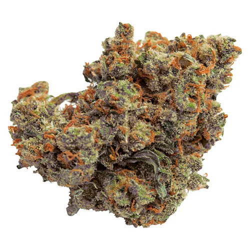 Lazer Jet - Qwest - Dried Flower