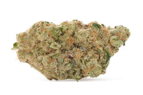 Cherry Cheesecake - Broken Coast - Dried Flower