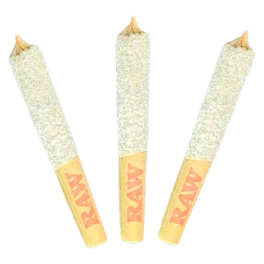 Product image of Purple Elephant 50's+ Triple Infused Pre-Rolls - Dab Bods - Infused Joints