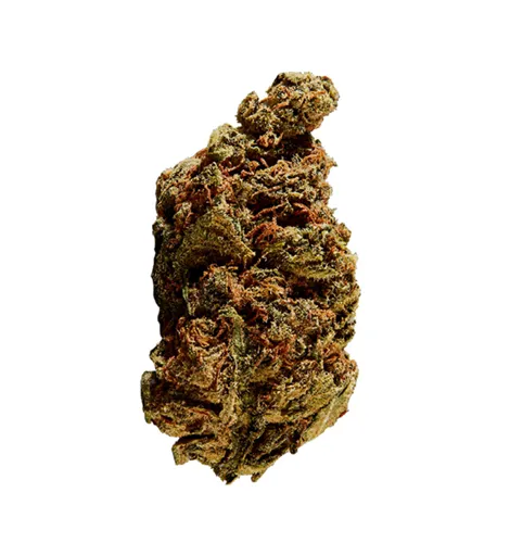 Product image of BC God Bud - Versus - Dried Flower