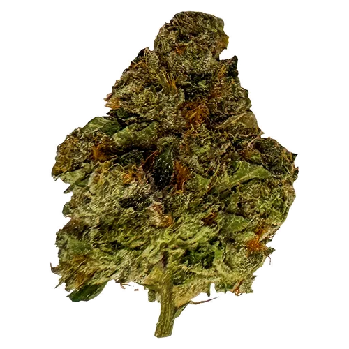 Product image of Gastro Pop Ultra Minis Craft - True Fire & Co. Ltd. - Dried Flower