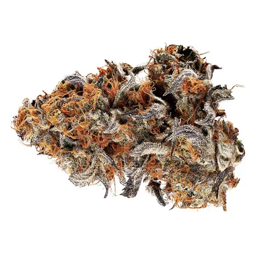 Gelato Mint - Tribal - Dried Flower