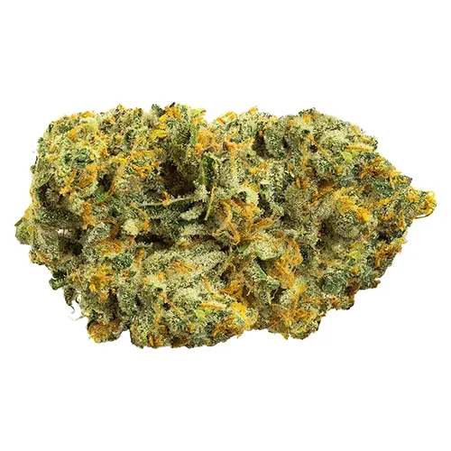 Baked Alien - Zip - Dried Flower