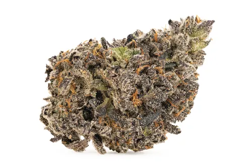Product image of Permanent Marker - Forbidden Forrest - Dried Flower