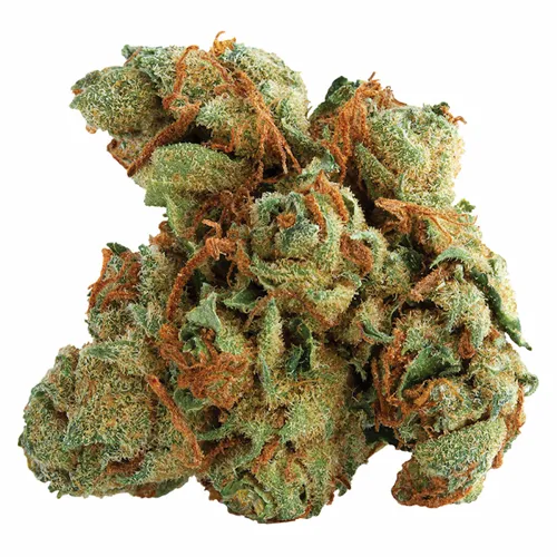 Tangerine Twist - Spinach - Dried Flower