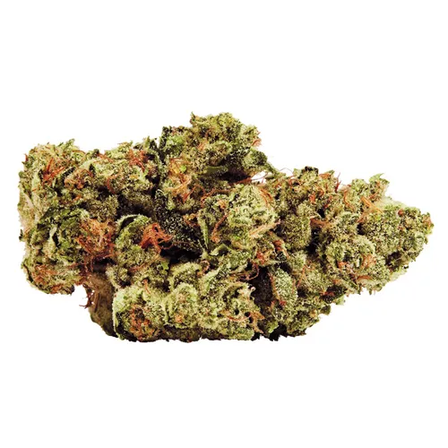 Product image of 34 Street Cookie - 34 Street Seed Co. - Dried Flower