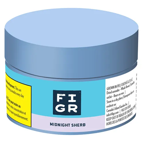 Midnight Sherb - FIGR - Dried Flower