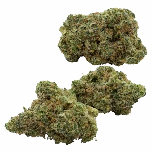 Presents - Purple Hills - Variety Flower