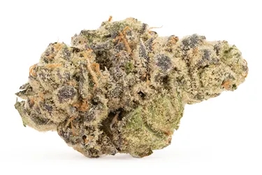 Product image of Midnight OG Smalls - Za Za - Dried Flower