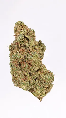 Product image of Honeycomb Haze - Buzz'd - Dried Flower