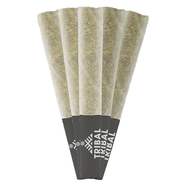 Product image of Gran Turismo - Tribal - Joints