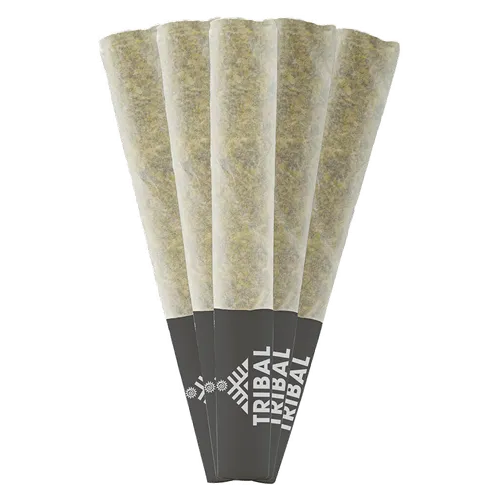 Product image of Gran Turismo - Tribal - Joints