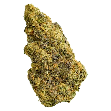 Product image of Lemon Frost - True Fire - Dried Flower