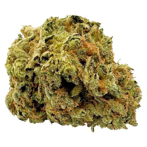 1st Quarter (7g Sativa) - Viola - Dried Flower