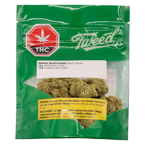 Tropical Gelato Slushie - Tweed - Dried Flower