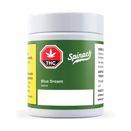 Blue Dream - Spinach - Dried Flower
