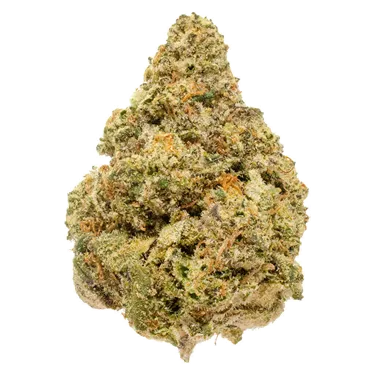 Product image of Blakh Haze Sativa - Bleuh - Dried Flower