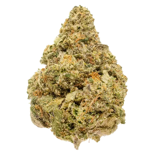 Product image of Blakh Haze Sativa - Bleuh - Dried Flower