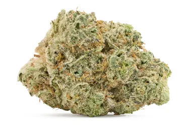 Product image of Fire Breath - Back Forty - Dried Flower