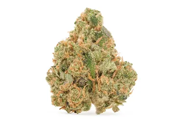 Product image of Bandwagon Sativa - Homestead - Dried Flower