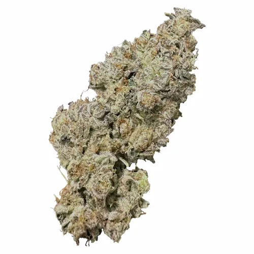 Royal Dive #1: Black Mountain Side - HighXotic - Dried Flower