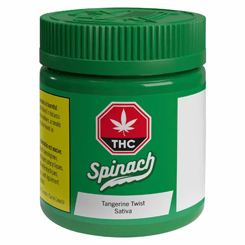 Tangerine Twist - Spinach - Dried Flower