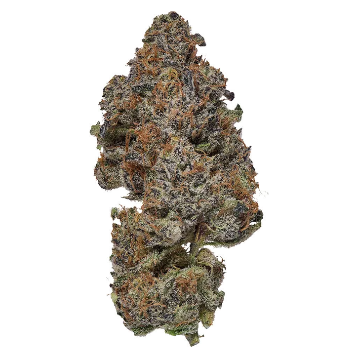 Product image of Frosted Fruit Cake - Coterie - Dried Flower