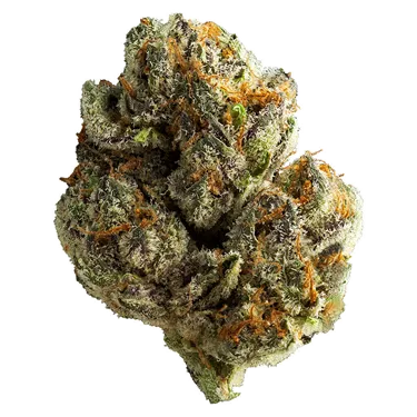 Product image of Mighty Mini's - Muskoka Grown - Dried Flower