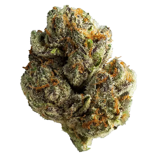 Product image of Mighty Mini's - Muskoka Grown - Dried Flower