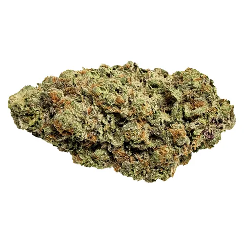 Lemon Shocker - Fruit Drops - Dried Flower