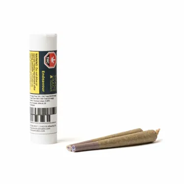 Product image of Endeavour - SPACE RACE CANNABIS - Joints