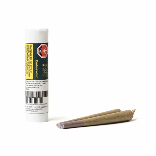 Product image of Endeavour - SPACE RACE CANNABIS - Joints