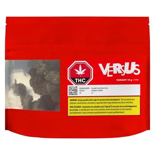 Variant - Versus - Dried Flower