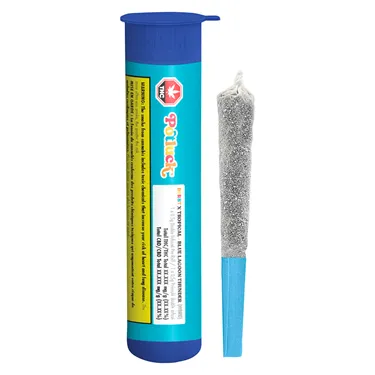 Product image of Blue Lagoon Thunder Infused - Potluck - Infused Joints