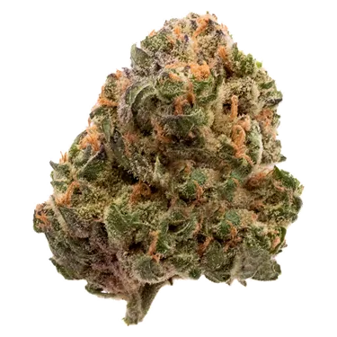 Product image of Garlic Truffle - FIGR - Dried Flower