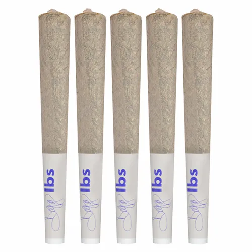 Atomic GG 5 Pacc - D*gg Lbs - Joints