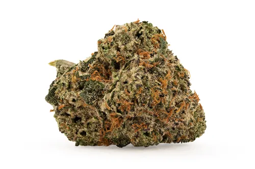 Product image of Kandy Cake - FIGR - Dried Flower