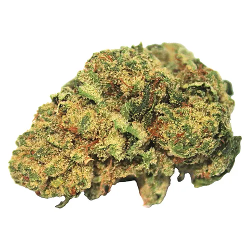 Product image of Black Gas - High Note - Dried Flower