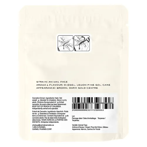 Animal Face Temple Ball - Carmel - Hash