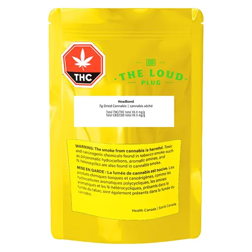 Headband - The Loud Plug - Dried Flower
