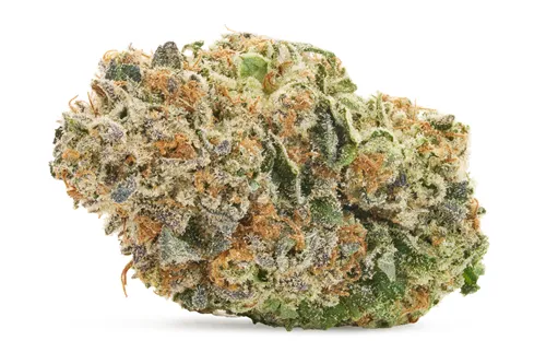 Sour Tangie - 1964 - Dried Flower