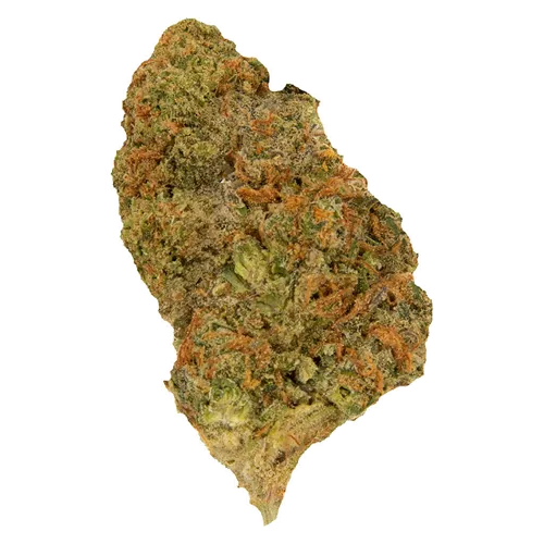 Apple Jack - Palmetto - Dried Flower