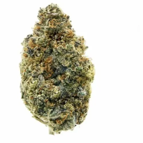 Lemon Tartz - All Nations - Dried Flower