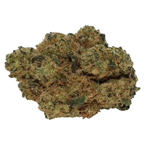 Peppermint Frosty - Tam Tams - Dried Flower
