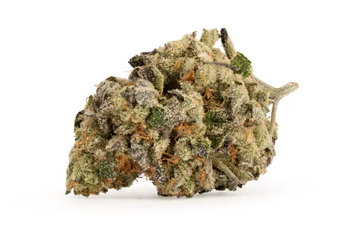 Product image of Banana Cheesecake - West Coast Gas - Dried Flower