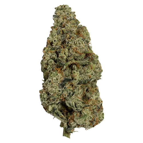 Kush Life - Carmel - Dried Flower