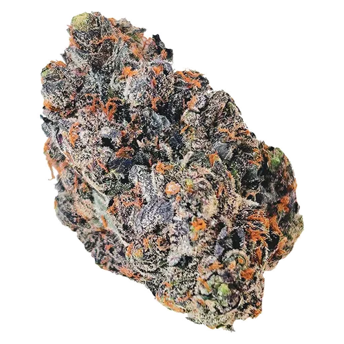 Product image of Lemon Cherry Sherb - Castle Rock Farms - Dried Flower