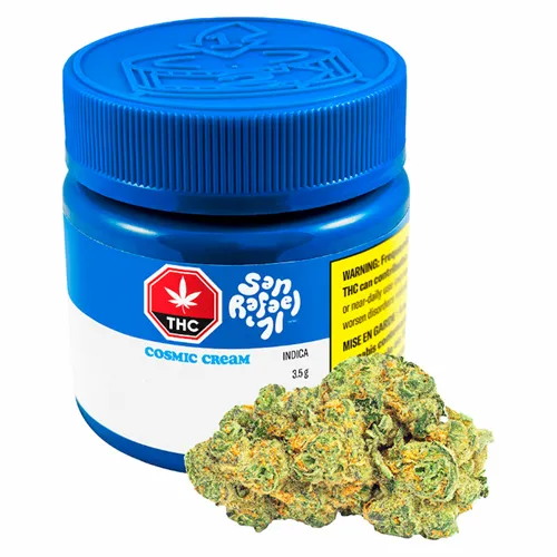 Cosmic Cream - San Rafael '71 - Dried Flower