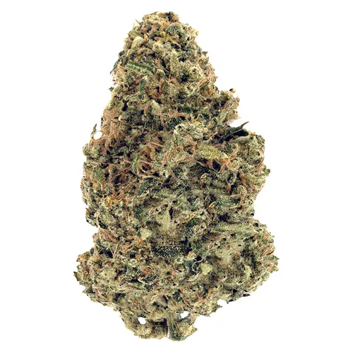 Warehouse Premium Smalls - Woody Nelson - Dried Flower